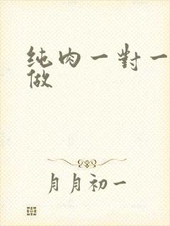 纯肉一对一到处做