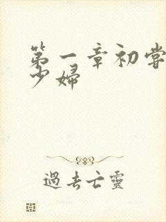 第一章初尝极品少妇