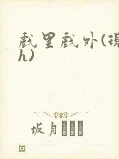 戏里戏外(现场h)