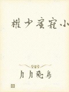 权少蜜宠小娇妻