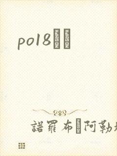 po18С˵