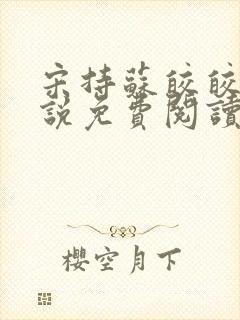 宋持苏皎皎的小说免费阅读