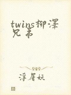 twins柳泽兄弟