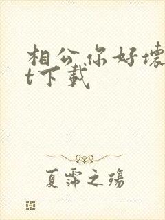 相公你好坏txt下载