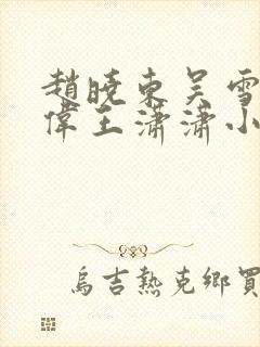 赵晓东吴雪晴郑伟王潇潇小说名字