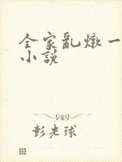 全家乱炖一锅烩小说