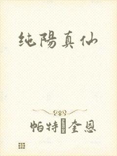 纯阳真仙