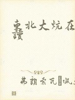东北大炕在线阅读