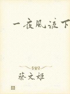一夜风流下载