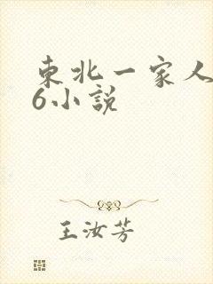 东北一家人1一6小说