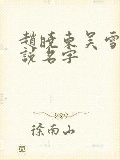 赵晓东吴雪晴小说名字