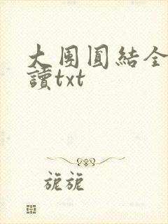 大团圆结全文阅读txt