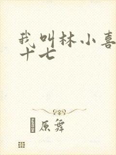 我叫林小喜今年十七