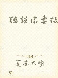 听说你要抵抗我