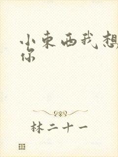 小东西我想弄坏你