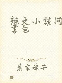 辣文小说网第二书包