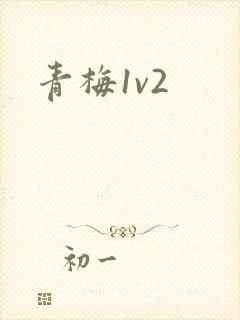 青梅1v2