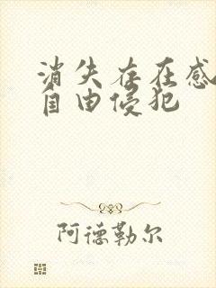 消失存在感消失自由侵犯