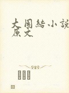 大团结小说阅读原文