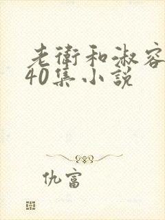 老卫和淑容1-40集小说