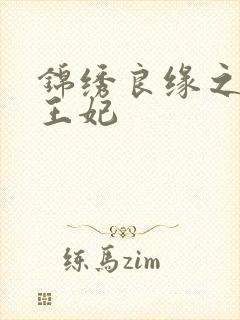 锦绣良缘之北地王妃