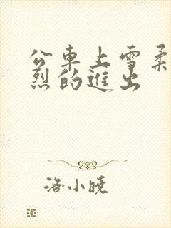 公车上雪柔被猛烈的进出