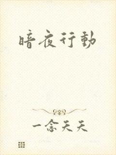 暗夜行动