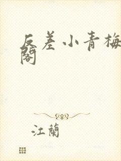 反差小青梅笔趣阁