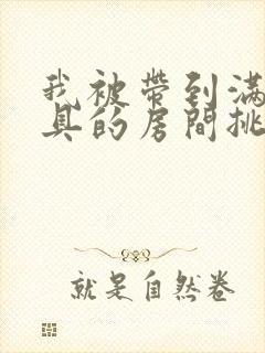 我被带到满是玩具的房间挑调作文