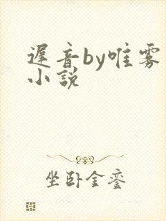 迟音by唯雾的小说