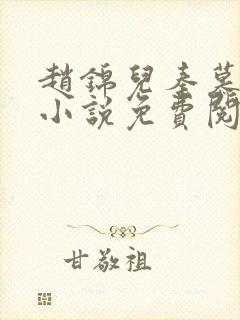 赵锦儿秦慕修的小说免费阅读全文