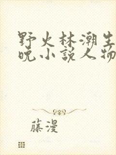 野火林潮生林晚晚小说人物野火