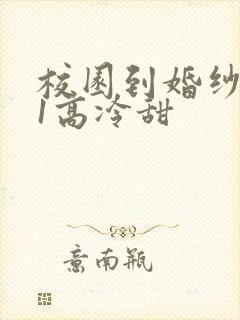 校园到婚纱1V1高冷甜