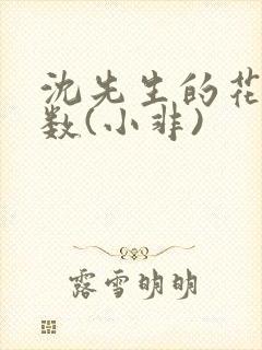 沈先生的花式调数(小非)