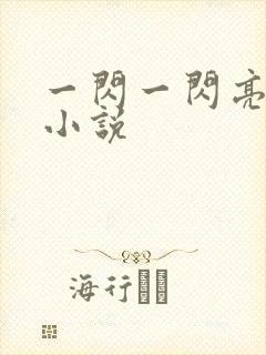 一闪一闪亮星星小说