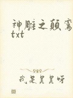 神雕之颠鸾倒凤txt