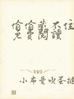 偷偷藏不住小说免费阅读