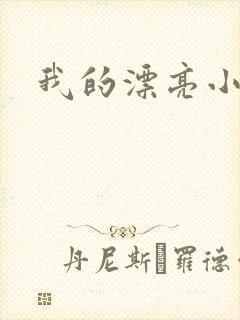 我的漂亮小后妈