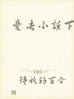 爱去小说下载网