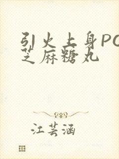 引火上身POP芝麻糖丸