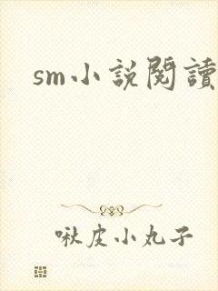 sm小说阅读
