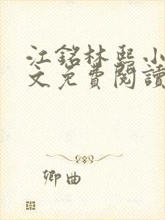 江铭林熙小说全文免费阅读