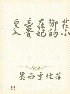 皇帝在御花园进入贵妃的小说