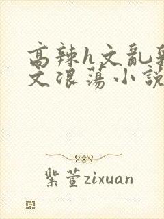 高辣h文乱乳h文浪荡小说苏柔