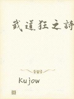 武道狂之诗