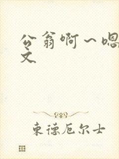 公翁啊～嗯啊h文