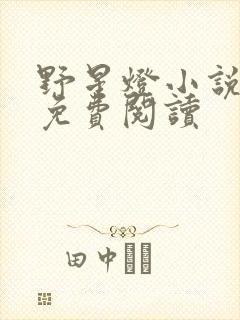 野星灯小说全文免费阅读