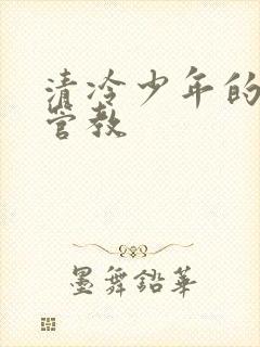 清冷少年的严厉管教