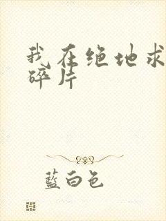 我在绝地求生捡碎片