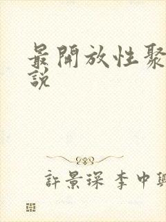 最开放性聚会小说